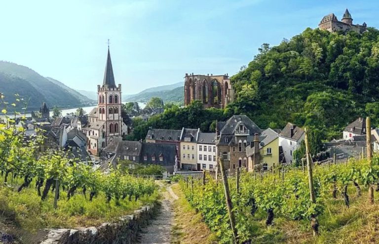 Blick durch Rebstöcke in die mittelalterliche Altstadt von Bacharach mit Burg Stahleck und Kirchenruine