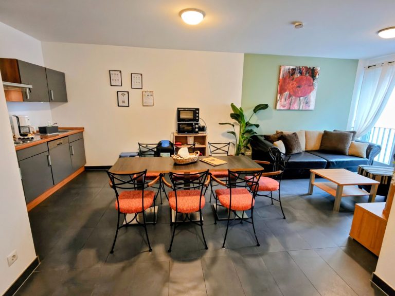 Living room of the ‘Rhein & Wein’ apartment in Bacharach, with sofa, armchair and French windows facing the historic old town.